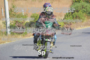 IMG-2550