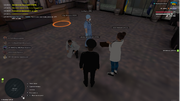 Picture-5
