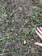 IMG-5563