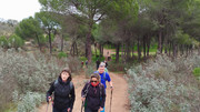 IMG-20251227-112001