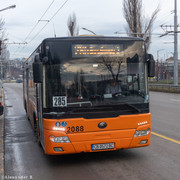 IMG-4529