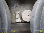 IMG-7446