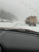 [Image: IMG-7344.jpg]