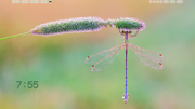 Screenshot-from-2026-09-09-15-55-24.png
