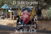IMG-0618