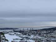 [Immagine: IMG_7349.jpg]