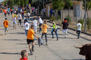 IMG-0500