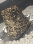 FE7B4173-DC25-4B6E-9070-B3F457FF93A1