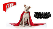 krypto4