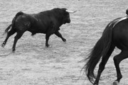 IMG-0044