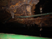 IMG-20230215-151033.jpg