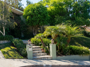 Palm Tree Landscaping