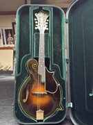 IMG-3682