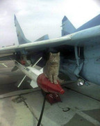 273838518_242270521440408_6290821328060839619_n