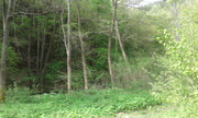 20200502-095923.jpg