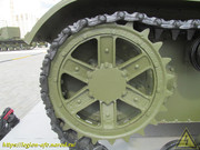 IMG-5629