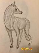 1175D77C-D850-4484-84C6-783DD5DE3751