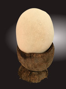 [Image: A-Que-suis-je-version-fonc.jpg]