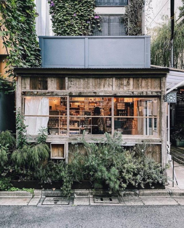 Cozy-7