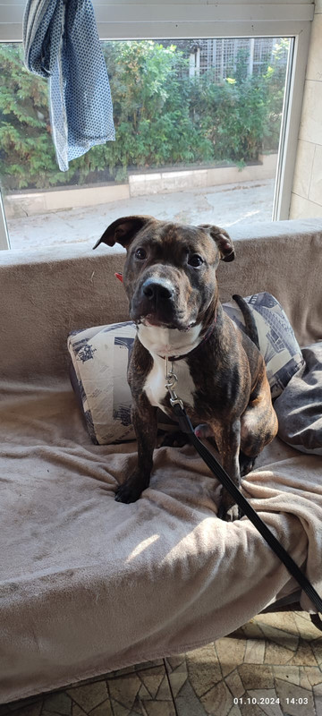 WhatsApp Image 2024-10-01 at 16.35.01 (2)