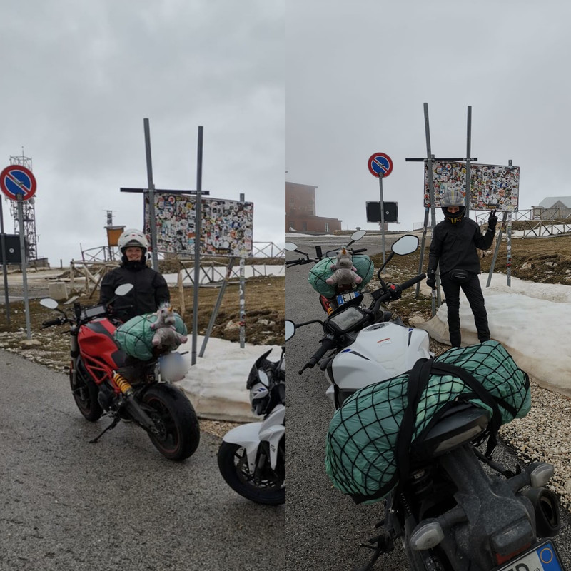 6A956334-8F57-4FFC-B2BA-2F0CD7A9BDCF