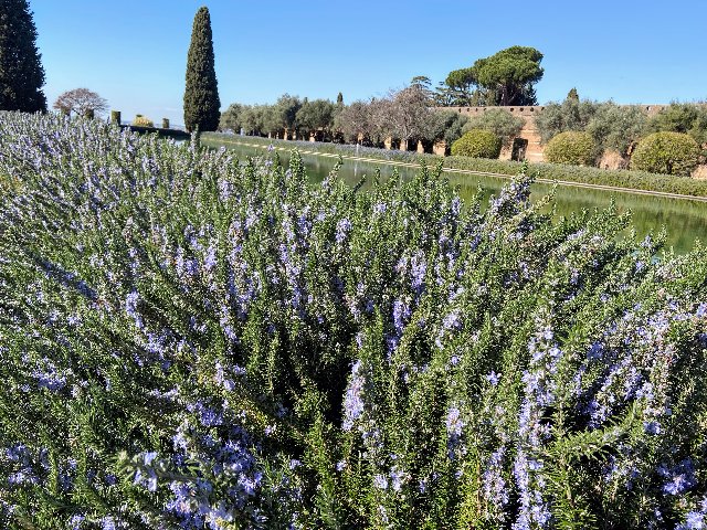 C428-E6-A4-452-B-4087-A739-43407-C953-E8