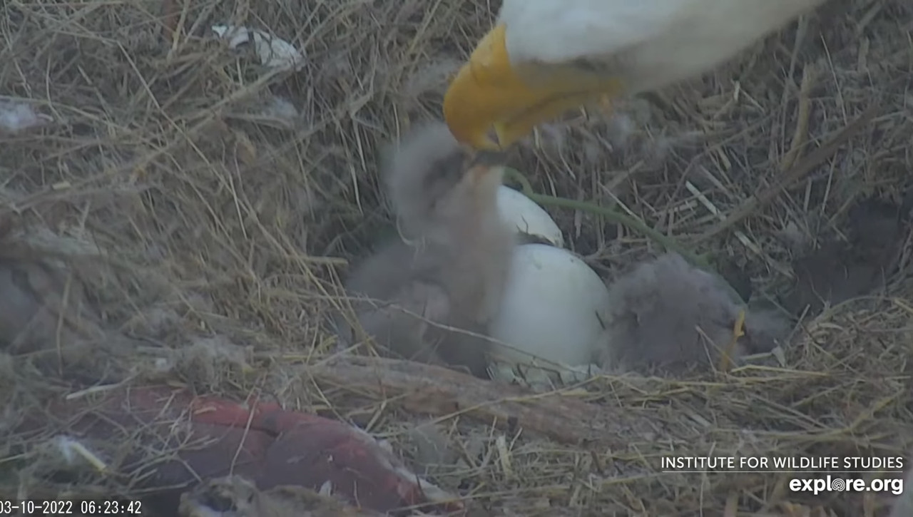 CD08E00D-1767-4EEA-BA90-C396875F801B