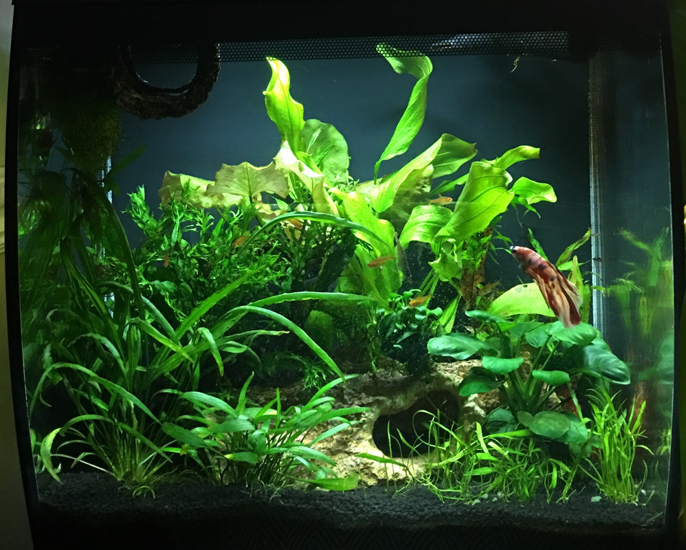 66461701-BEAD-4D1E-9AF8-BD8AC49BF1B6