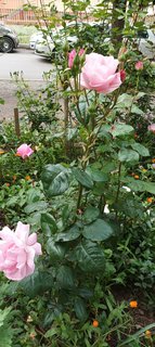 IMG_20230527_082307