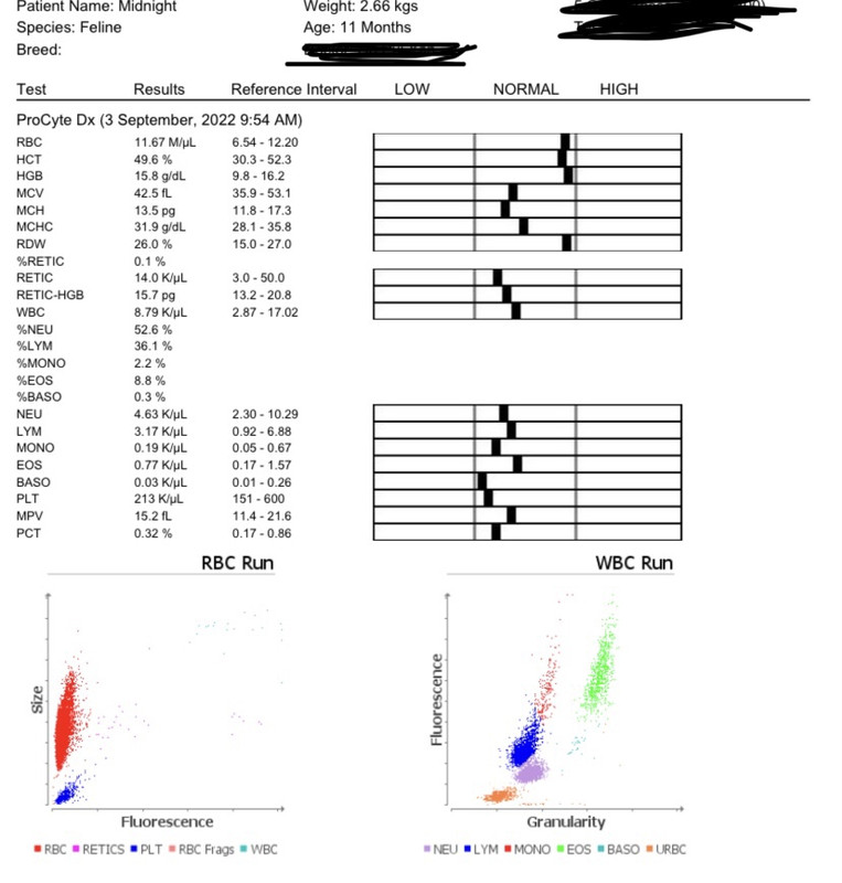CF4BFE71-368C-44EB-BC48-1B8634A6B9B1