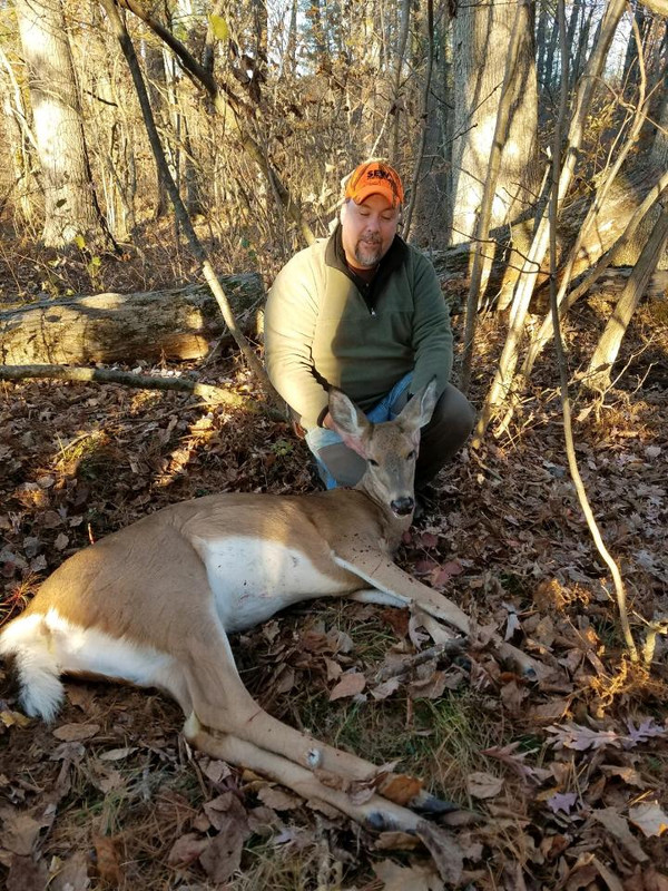 deer