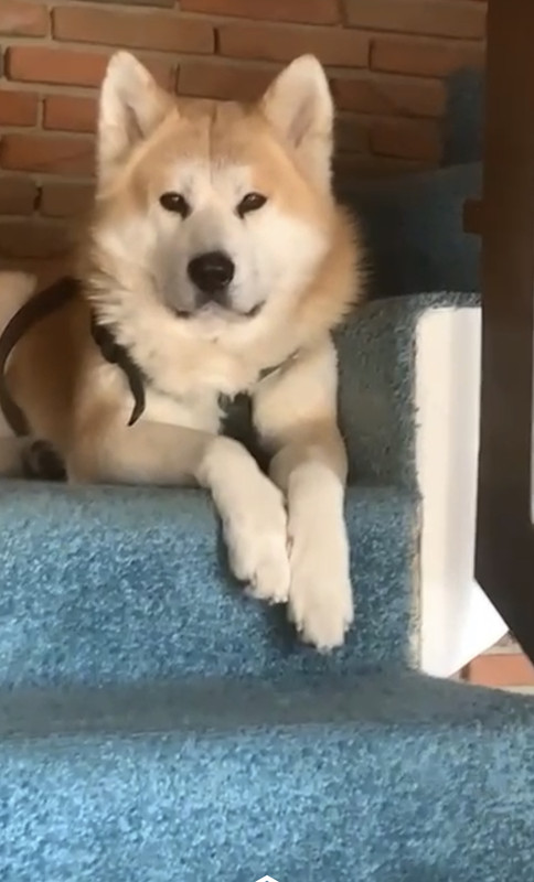 18E4E0F6-60B8-41CC-B8B6-83960E80D635