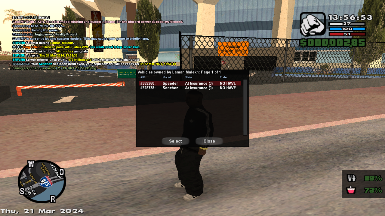 samp-21-03-2024-13-56-45.png