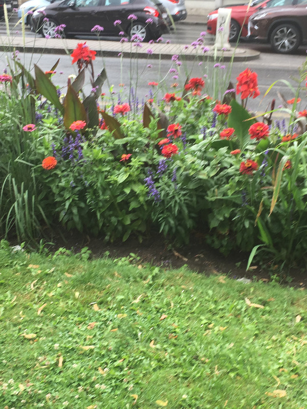 0CE9BA27-C87E-493C-BF16-7BCC29C1DB86