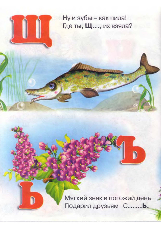Stepanov-Vladimir-Koshkiny-zagadki-ot-A-do-Ja-page-0015