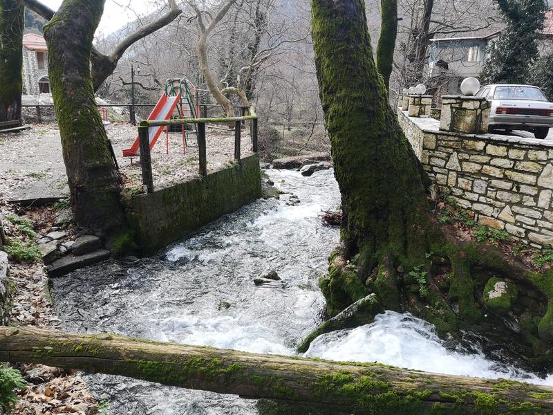 ΚΟΠΗ ΠΡΩΤΟΧΡΟΝΙΑΤΙΚΗΣ ΠΙΤΑΣ ΠΕΛΟΠΟΝΝΗΣΟΥ 2019 - Σελίδα 2 IMG-20190127-113342