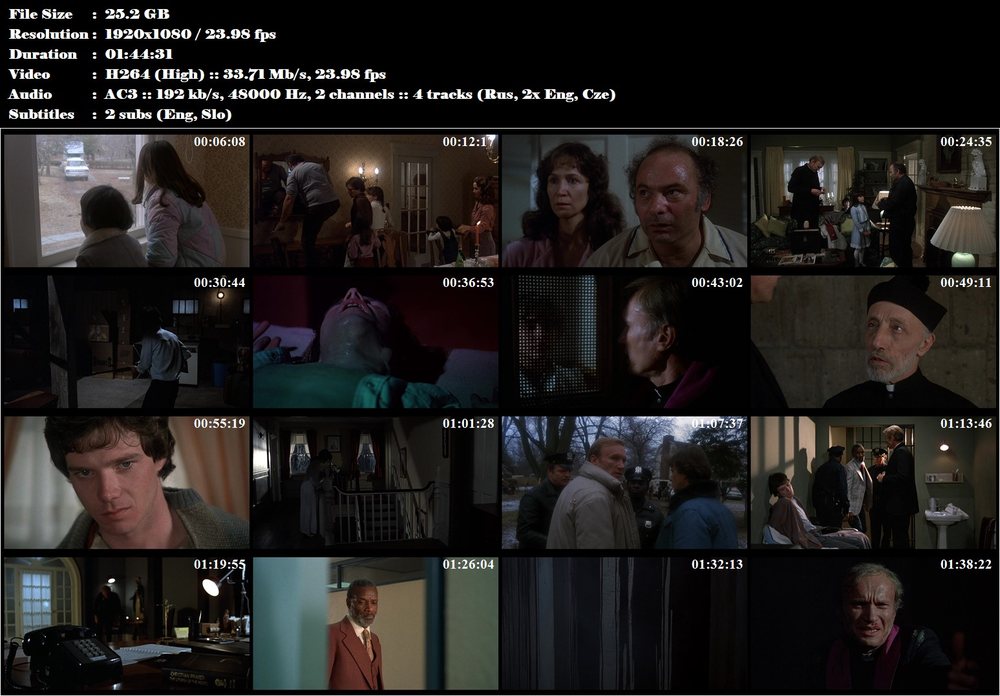 Amityville 2: Posedlost / Amityville II (1982)