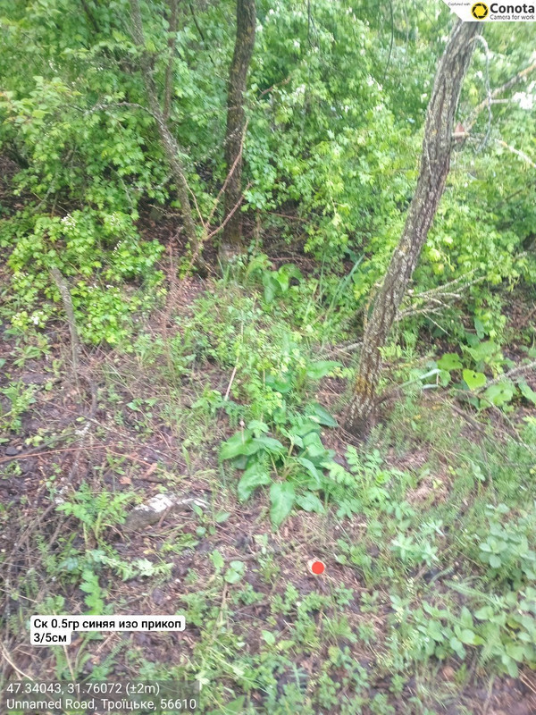 photo 2026 05 11 10 11 58