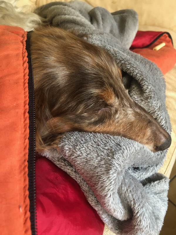 [Image: IMG-20240427-081428.jpg]