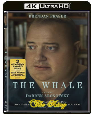 The Whale (2022) WEB-DL 2160p x265 HDR DV E-AC3+AC3 ITA AC3 ENG