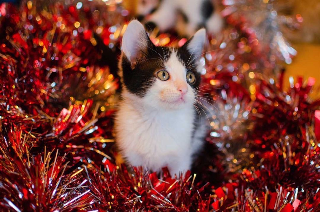 0BC35EA7-40C2-461F-B9D2-F2100E97965D