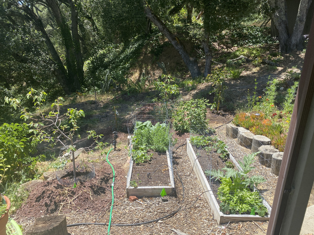 C4BE0A8B-935B-4154-9B65-D0B54468BD57