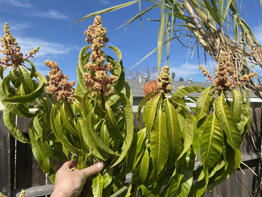 FD3BA9A4-E879-47FC-A491-C1DC78C7D484