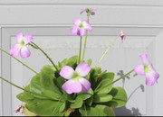 FB1F8393-4243-41A6-AA83-29BA4DD131CF