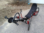 Dormant red w black W1 NT frnt lft