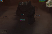 dwnatorss.jpg