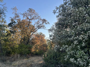 IMG-6329