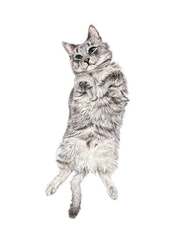 milo for alana final for screen