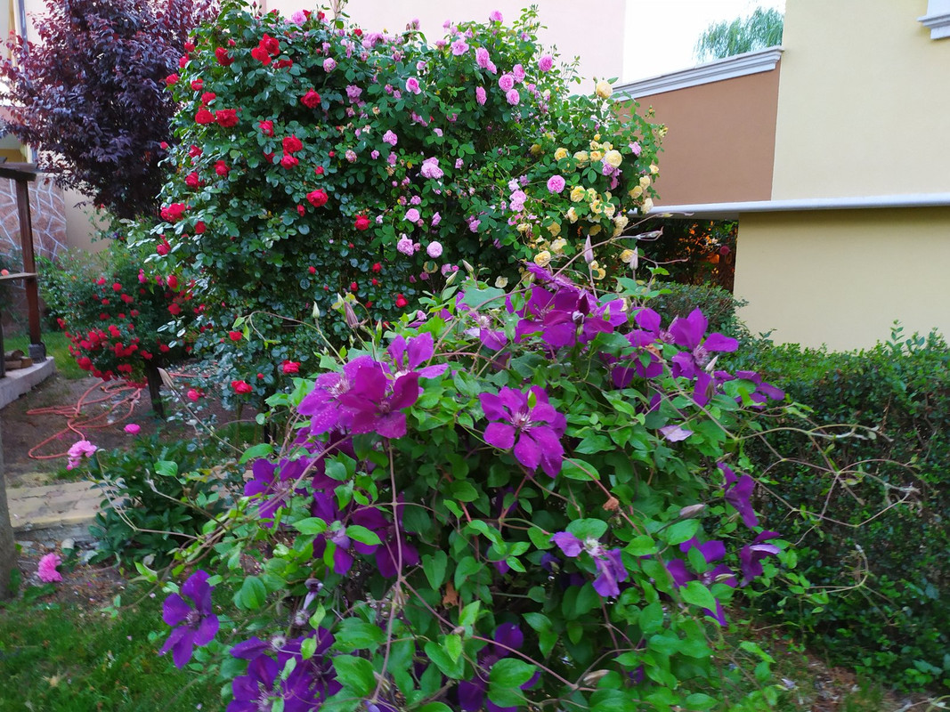 IMG_20210528_203336
