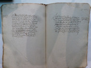 P1130300